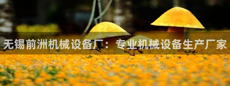 九游会集团登陆