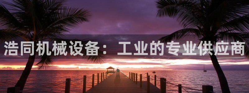 j9九游会网址是什么