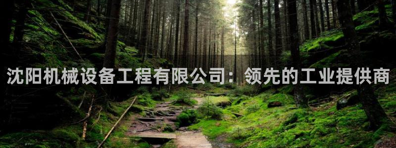 九游j9官网