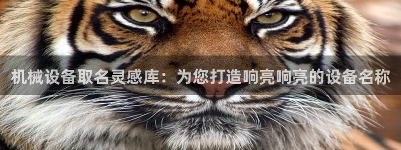 九游会怎么提币