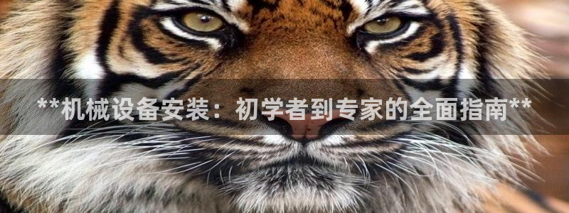 J9九游会网站