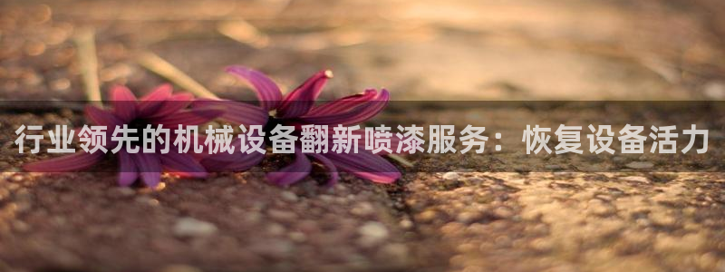 J9九游会国际站