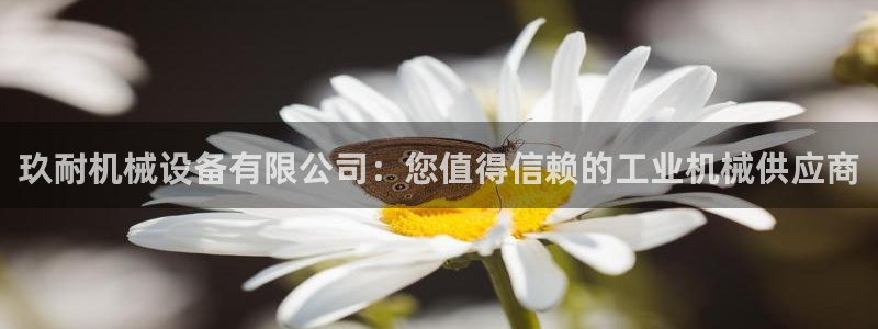 九游会官方旗舰店