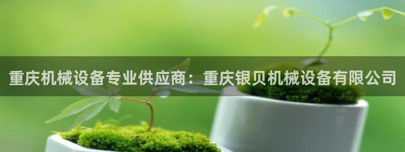 九游会ag真人官网|
