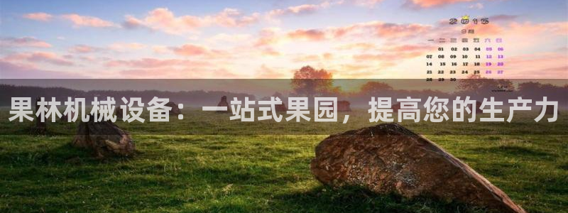 九游会怎么了