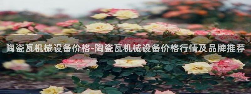 j9363九游会首页