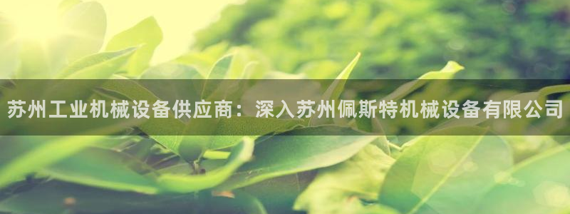 J9九游会集团：苏州