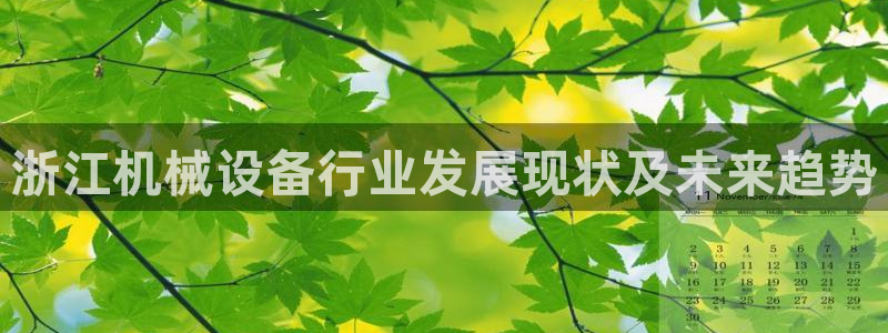 九游会ag官方网站在哪