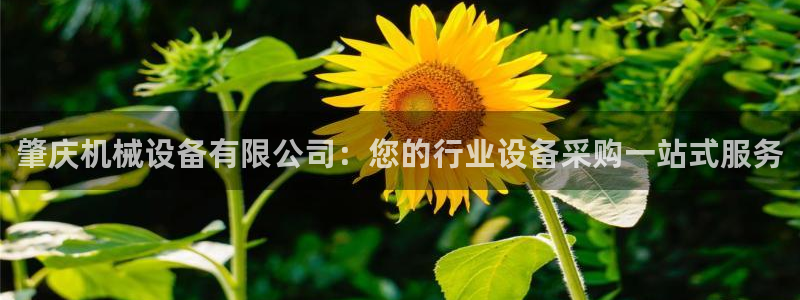 j9九游会平台