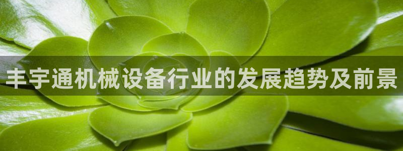 九游会集团 | 首页