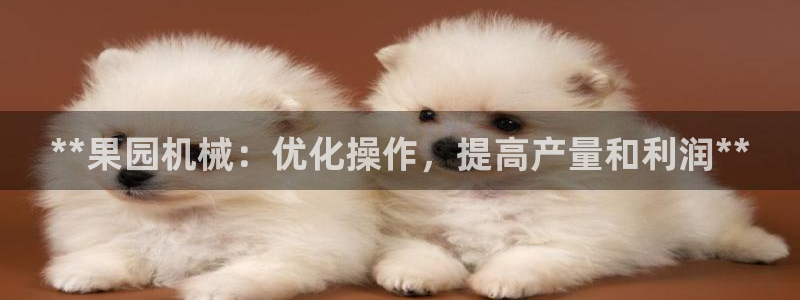 九游j9官网入口